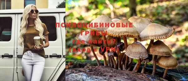 стафф Баксан
