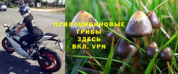 МДПВ Армянск