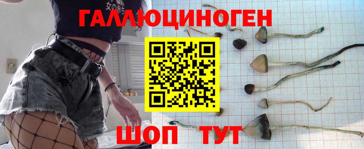 Кировск  Псилоцибиновые грибы GOLDEN TEACHER  Вход с VPN 